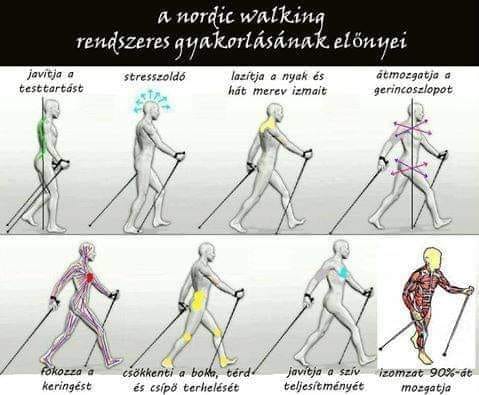 A Nordic Walking előnyei